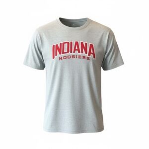 Indiana Hoosiers Men's Size XL Grey T-Shirt